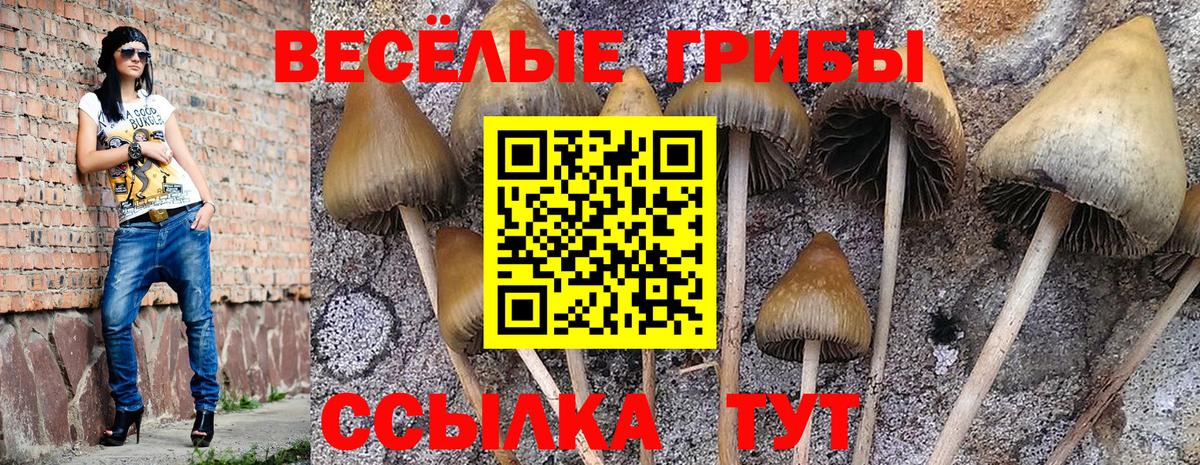 Псилоцибиновые грибы ЛСД  Псилоцибиновые грибы мицелий  Вход с VPN  Набережные Челны 