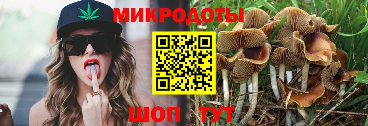 Галлюциногенные грибы прущие грибы Набережные Челны